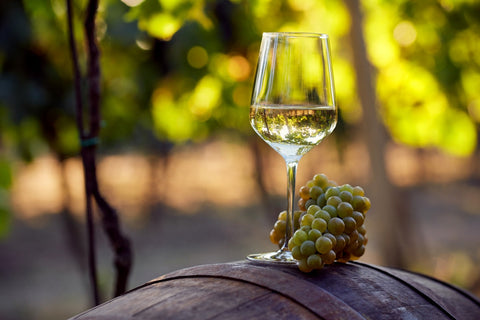 Best White Wine Served in a Vineyard at Sunset