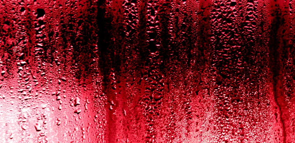 Can Red Wine be Chilled?