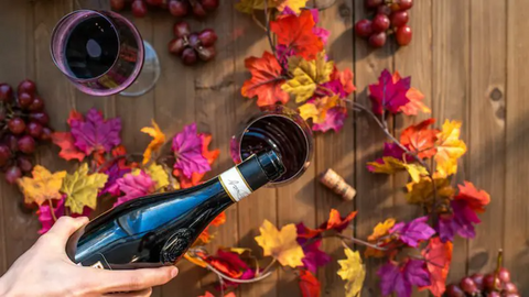 Sipping into Autumn: 10 of the best wine varieties to ease you into the colder weather