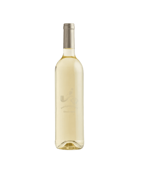 Babylonstoren Chenin Blanc 2024