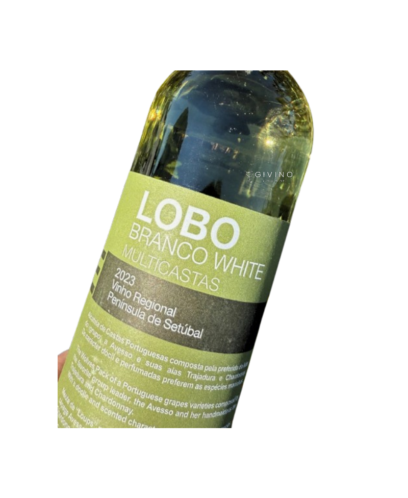 Assis Lobo Lobo Branco