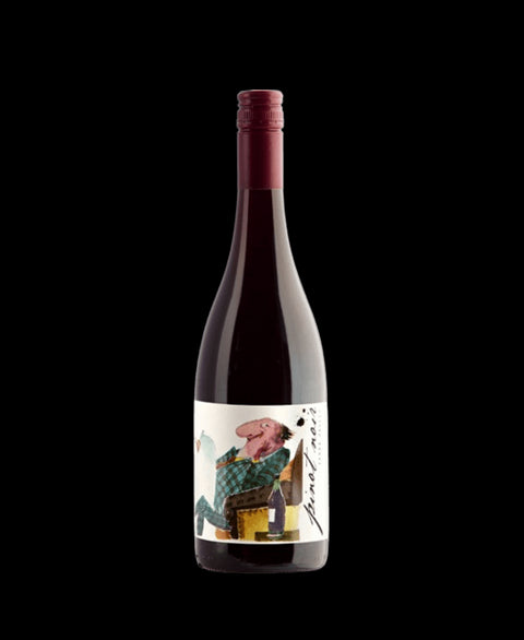 Payten &amp; Jones Valley Vignerons Pinot Noir 2022