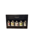Miniature Fruit Wine Gift Box Gifts