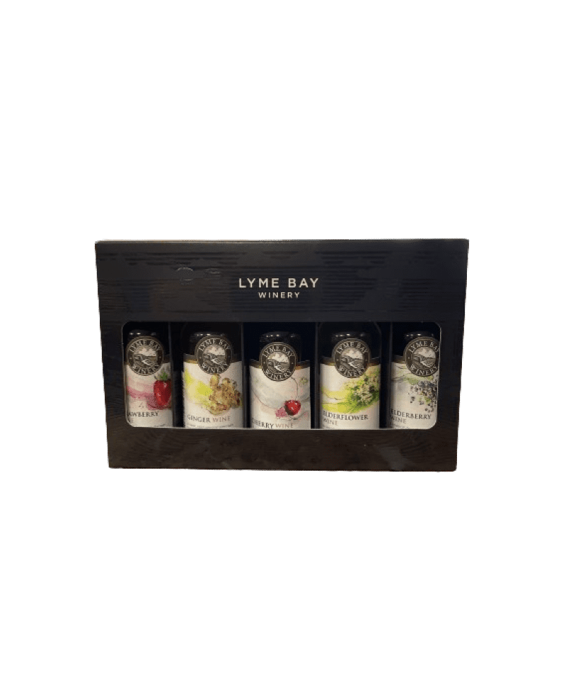 Miniature Fruit Wine Gift Box Gifts