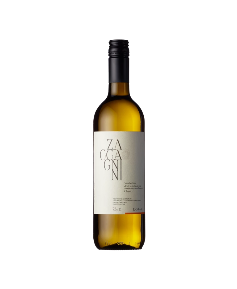 Zaccagnini Verdicchio dei Castelli di Jesi Classico 2022 White Wine