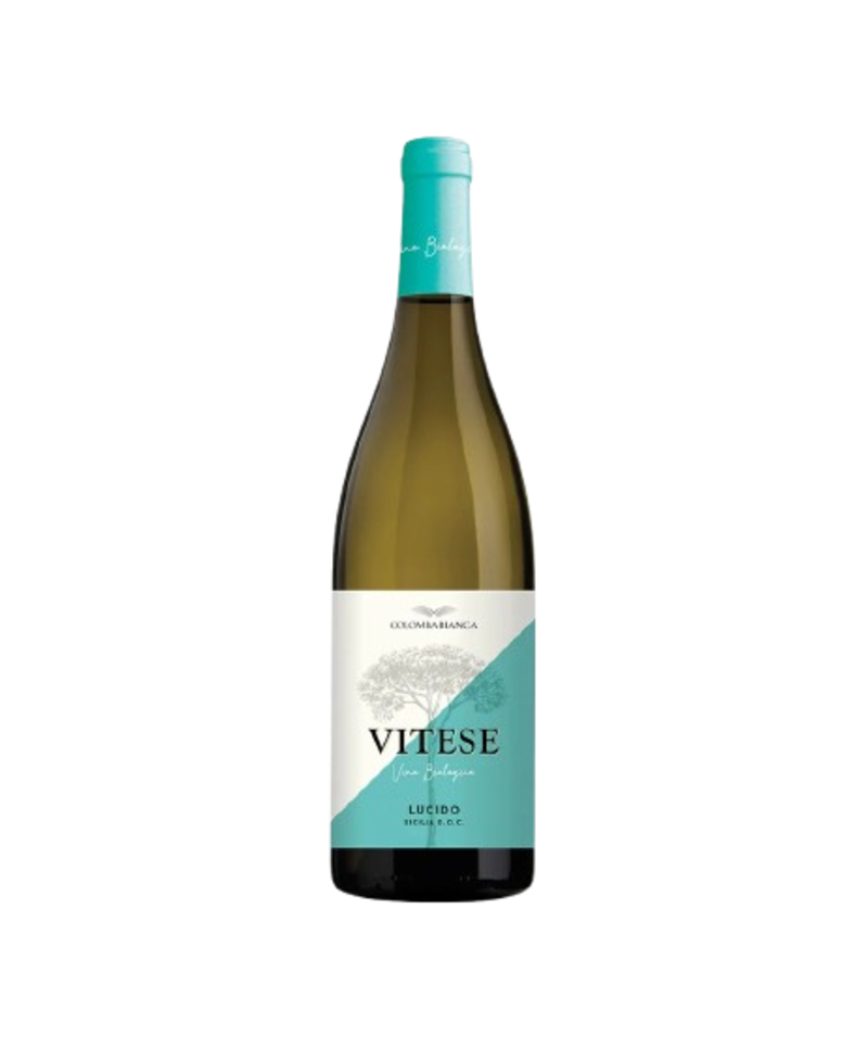 Cantina Colomba Bianca Vitese Zibibbo 2023 White Wine
